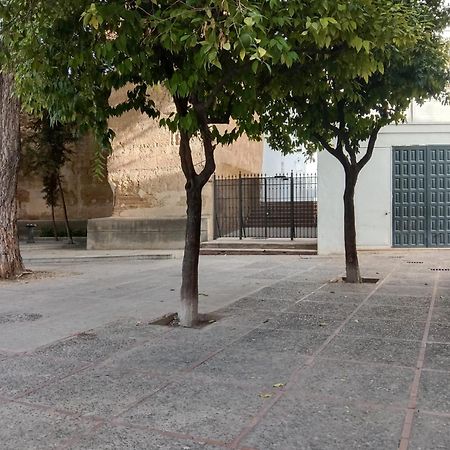 Casa Mnuela - Centro Jerez - Parking Opcional Apartment Jerez de la Frontera Ngoại thất bức ảnh