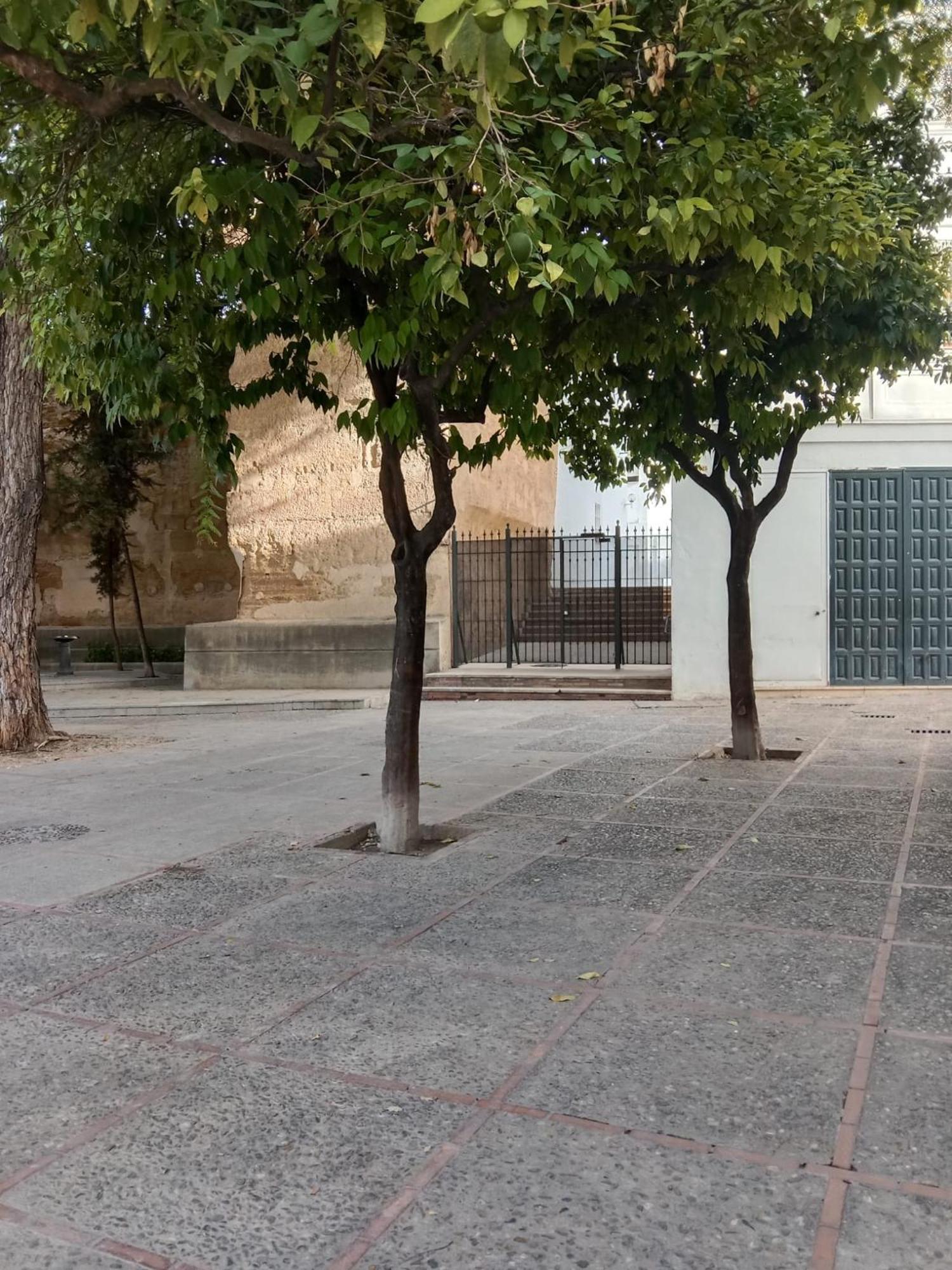 Casa Mnuela - Centro Jerez - Parking Opcional Apartment Jerez de la Frontera Ngoại thất bức ảnh